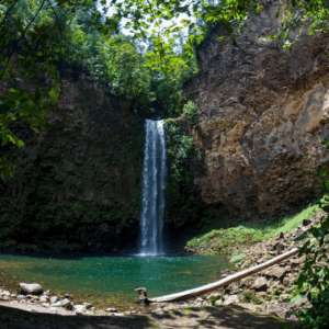 Hidden Falls: El Tesoro de Manglarito