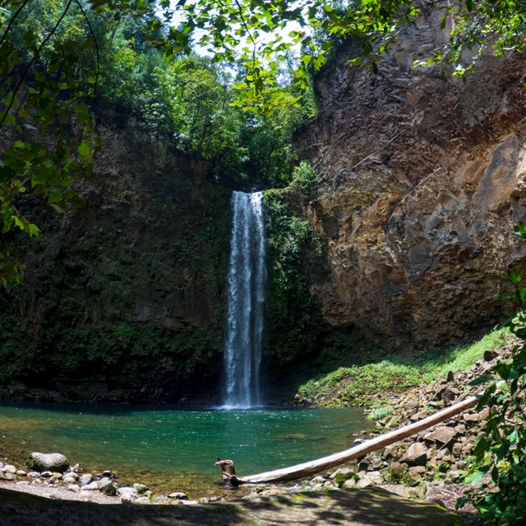 Oasis Perdido: Manantial de Vida